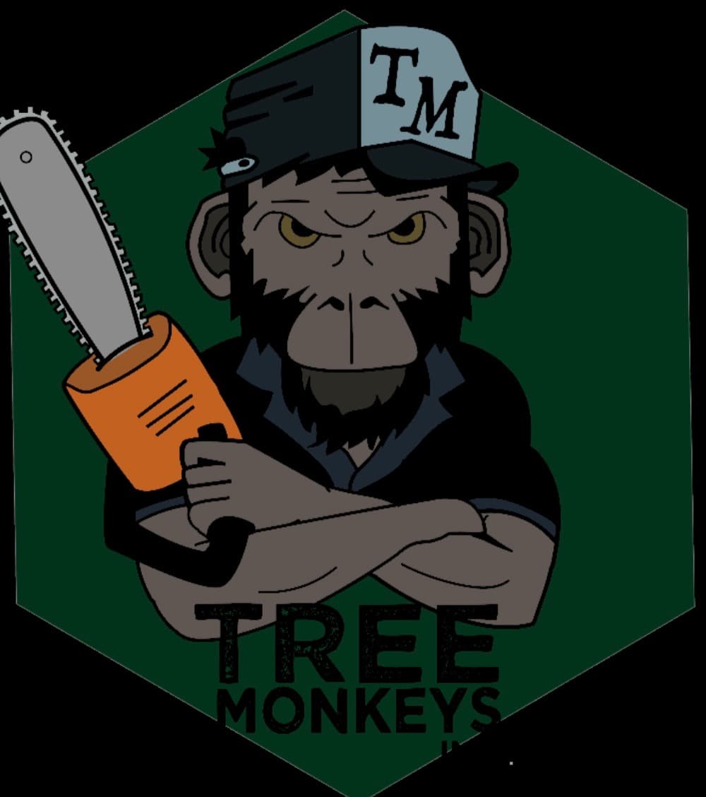 Tree Monkeys Team