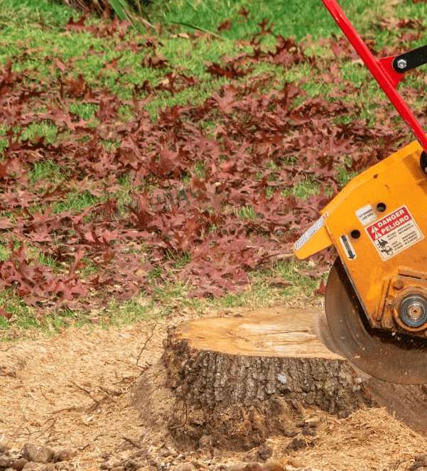 Stump Grinding Equipment